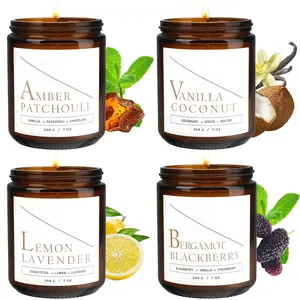 Scented Candles Set, 4 Pack Aromatherapy Candles for Home Scented, Candle Gift Set for Women, 28oz 200H Long Lasting Amber Jar Candles Soy Candles for Women Stress Relief, Relaxing, Spa, Birthday Valentines Gift Father's Day Gift