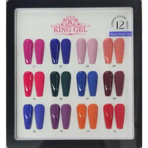 12 Colors Mood Swirl Gel Collection - KingGel Brand
