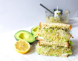 One Pound of Broccoli Sprouting Seeds with High Glucoraphanin (3X MORE Sulforaphane Precursor) by Todd’s Seeds | Non-GMO, Nutrient-Rich, Fast-Growing | Fresh, Crisp Sprouts for Salads, Sandwiches, Wraps & Detox Smoothies