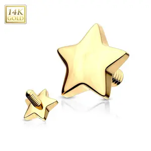 14 Karat Solid Gold Star Dermal Top with Internal Threading - 14 Gauge, 4mm