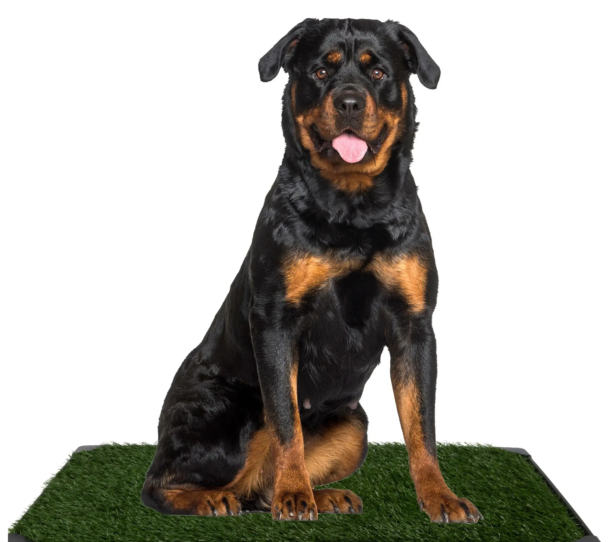 Petmaker Artificial Grass Reusable Puppy Peed Pad 41X27 Petmaker Artificial Grass Reusable Puppy Peed Pad 41X27