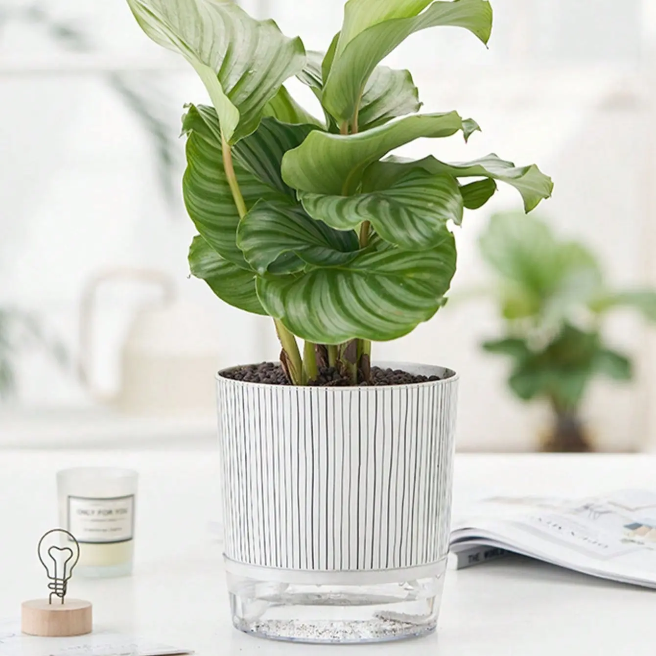 Large Transparent Plastic Flower Pot, Automatic Water Absorption Design, Self Watering Planter, Simple Garden Style, Ideal for Pothos Plants, Lazy Hydroponic Planter, Planter Pots