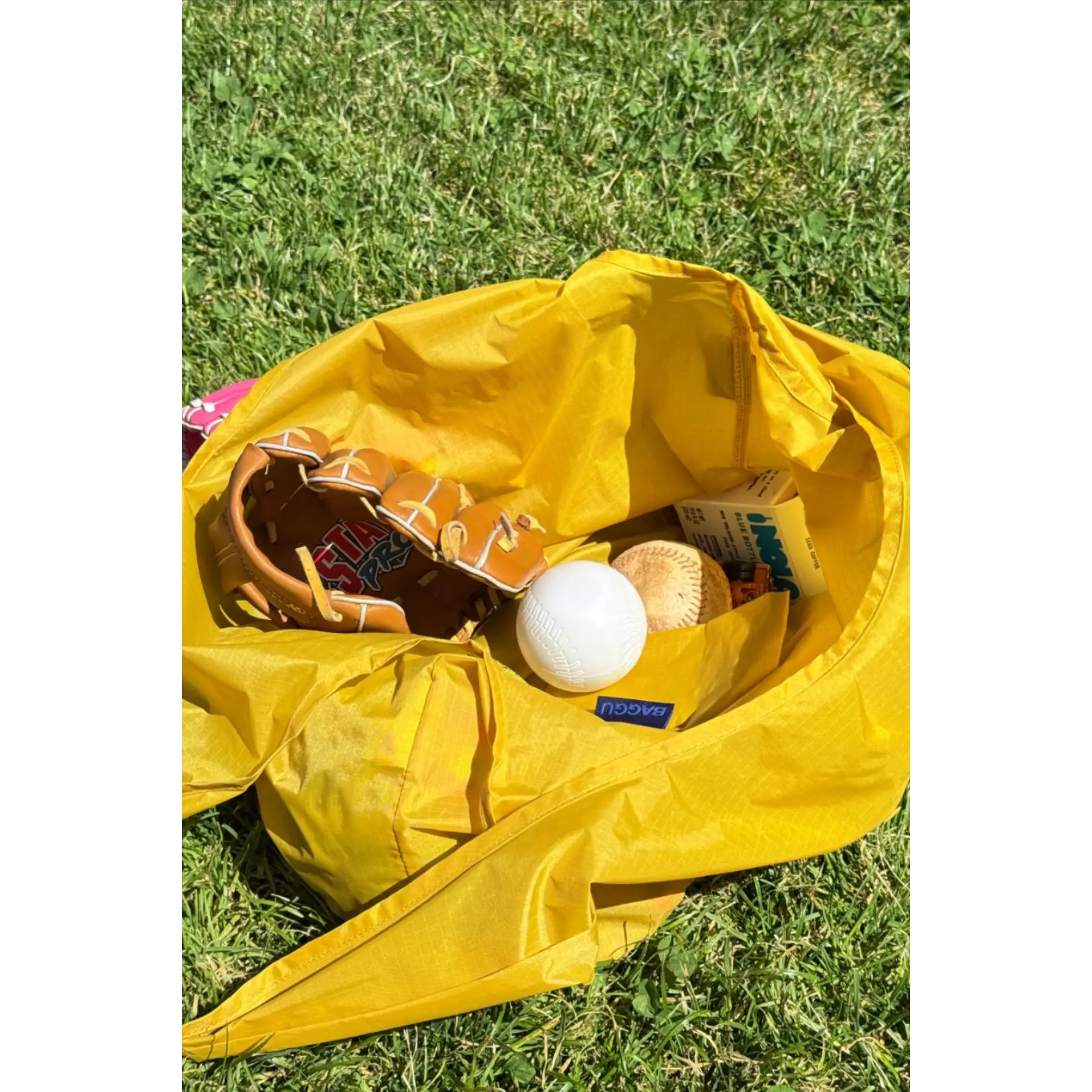 Standard Baggu