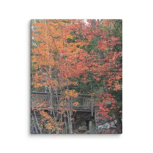 Blissful Bridge In Fall Canvas
