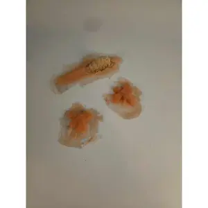 Silicone Prosthetics Buggin' Out Pack