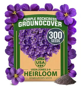 HOME GROWN Aubrieta Rock Cress Purple – Flowering Ground Cover Seed Packet – Perennial Cress Seeds for Planting Outdoor Lawn Gardens – Low Maintenance, 300 Non-GMO Aubrieta deltoidea Seeds (0.126g)