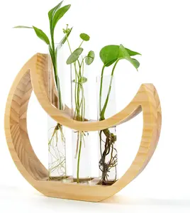 Crescent Moon Table Terrarium Stand for Indoor Houseplants with Wooden Wall Design and Glass Test Tube for Office Decor Aesthetic