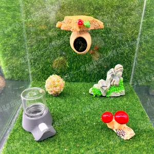 Jumping Spider Anti-Drowning Water Feeder + Magnetic Nut Hideout Set| Handmade Hidden Shelter with Sunning Platform(Acrylic case not included)