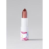 Cinnawich (Cinnamon)