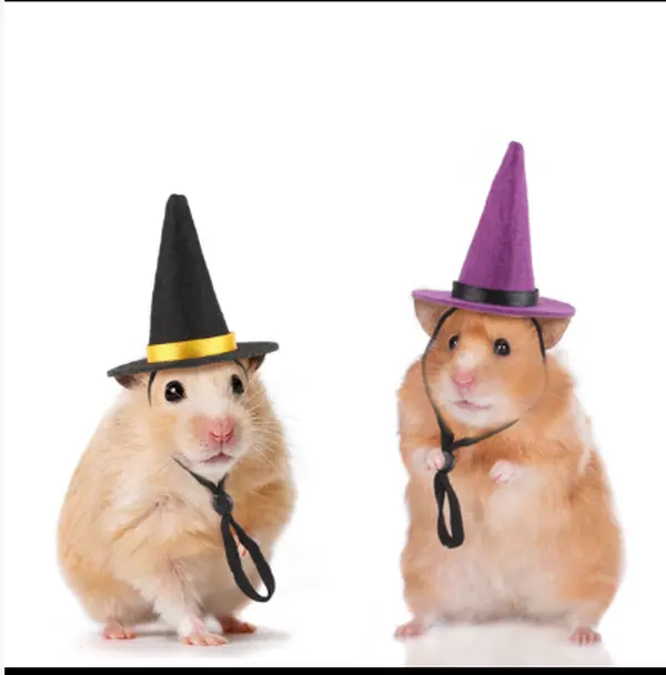Pet Christmas hats, rabbit and hamster holiday hats