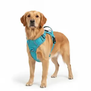 Adjustable Reflective Dog Collar & Leash Set