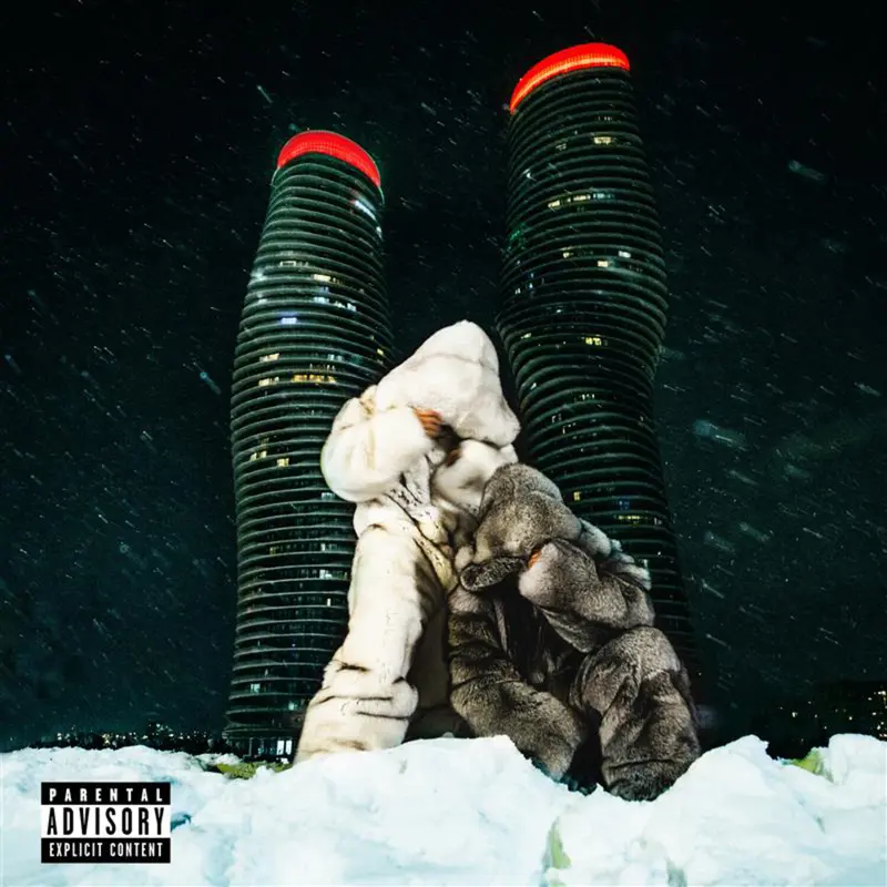 drake partynextdoor レコード　フォトブック付 drake x partynextdoor album - TikTok Shop
