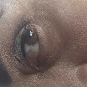 review image 7