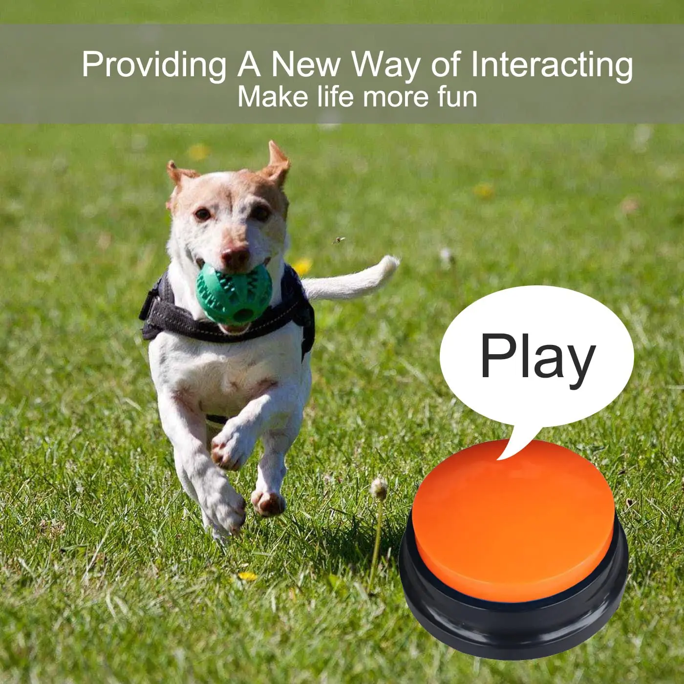 8 Color Voice Recording Button, Dog Buttons for Communication Pet Training Buzzer, 30 Second Record & Playback, Funny Gift for Study Office Home - 8 Color Packs