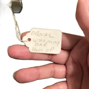 Electric guitar ZZ riders