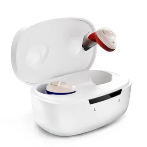Ceretone Torch Hearing Aids for Seniors - Ceretone Hearing Aids for Adults with Advanced Noise Cancellation - Easy Volume Control with Portable Charging Case Summervibes