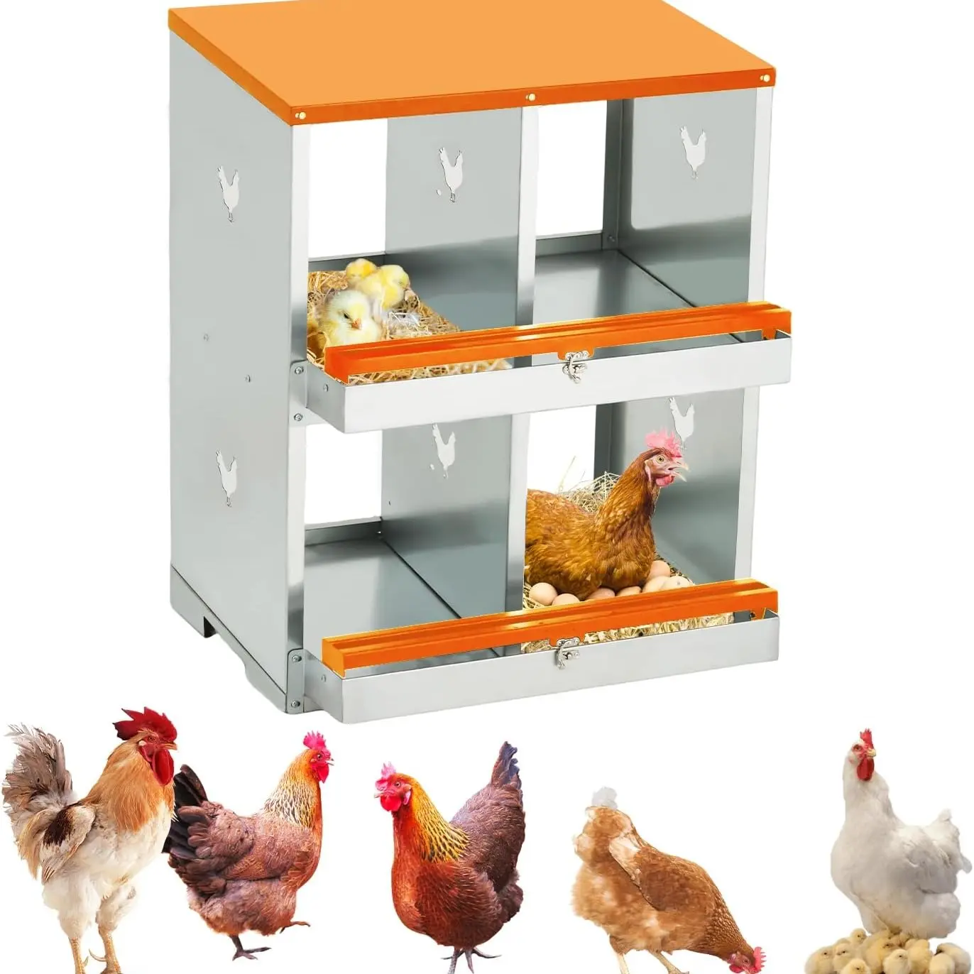 Orange | 4 Compartment