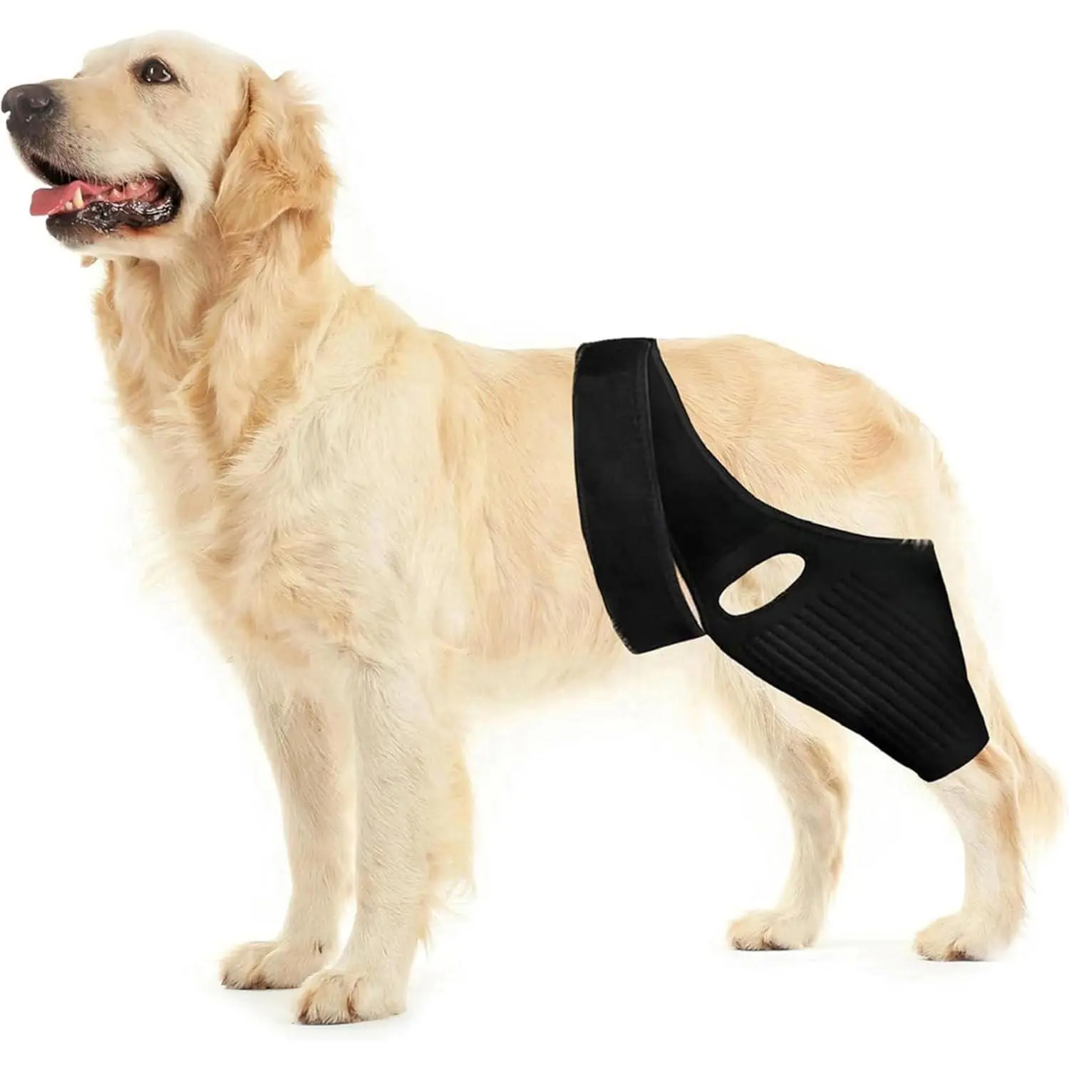 Dog Knee Brace, Dog ACL Brace for Front Torn and Back Hind Rear Legs ACL Tear, Dog Hip Knee Leg Brace for Hip Dysplasia, Dog