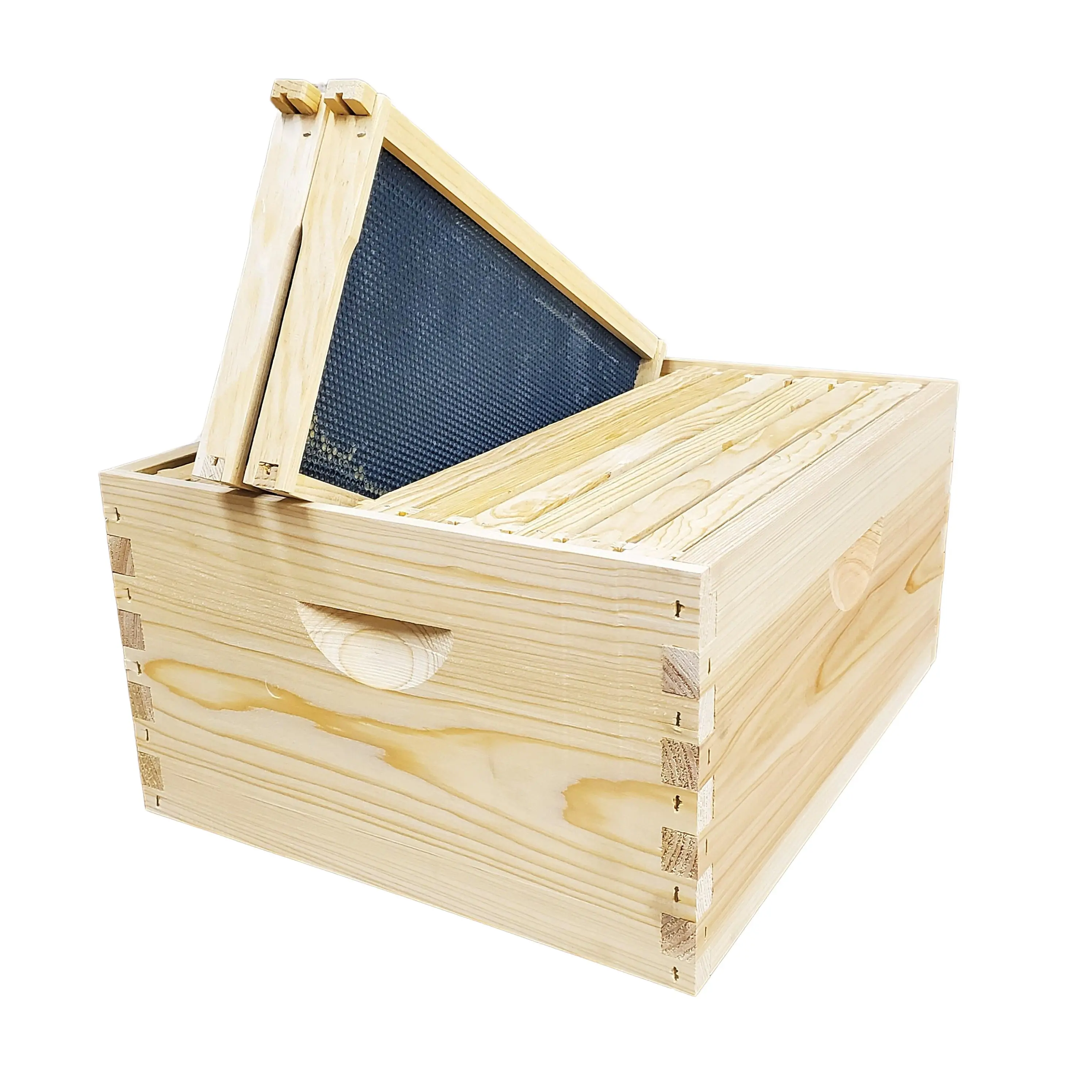 10-Frame Complete, Deep 9 5/8-inch Box with Frames and Foundation