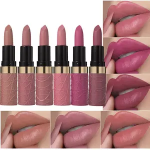 6 Pcs Brown Nude Pink Purple Red Matte Lipstick Sets,Wine Lipstick for Women Longlasting,labiales magicos 24 horas originales,Long Lasting 24 hrs Waterproof Lipstick Pack,labiales mate