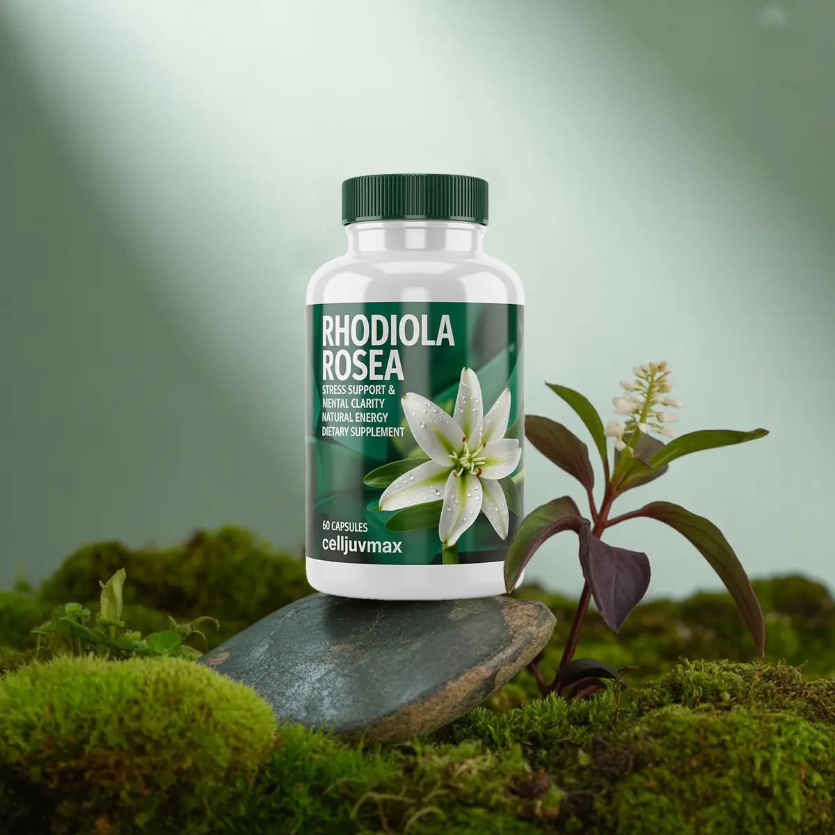 CellJuvMax Rhodiola Rosea Extract All Natural Supplement - 500mg Adaptogen Dietary Herbal Energy Vitamins Capsules, Daily Adult Stress Support (1 Bottle)