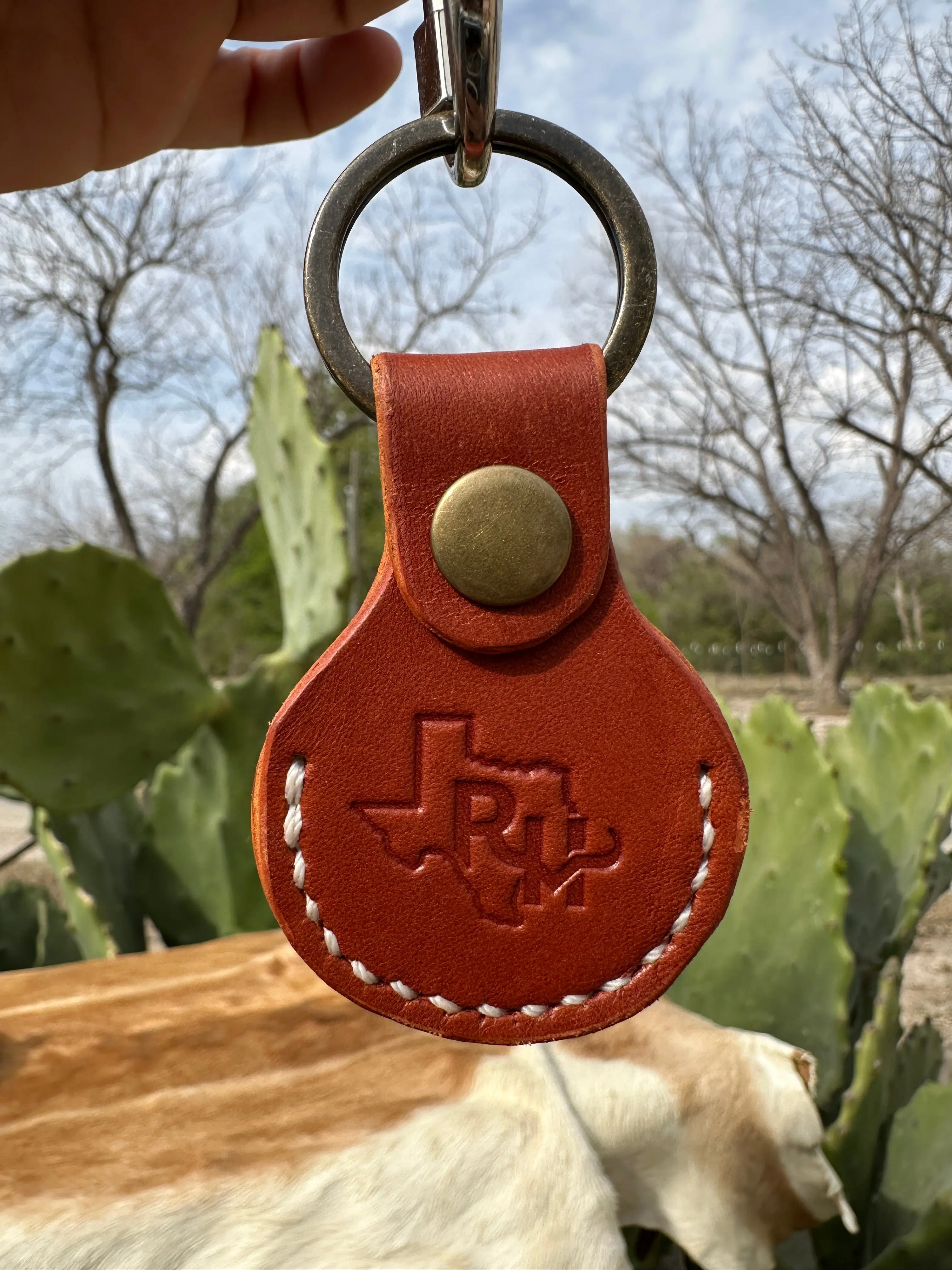 Air Tag Keychain
