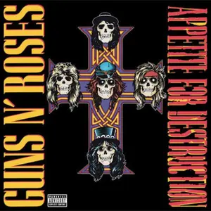 Appetite For Destruction - Guns N Roses - Record Album, Vinyl LP