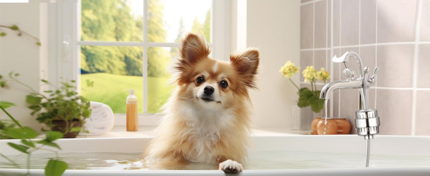 Shower Filter, 20 Stage Shower Head Filter for Hard Water with High Output Shower Water Filter to Remove Chlorine, Fluoride and Other Impurities, Improves Skin Condition, Protects Hair Shower Filter, 20 Stage Shower Head Filter for Hard Water with High Output Shower Water Filter to Remove Chlorine, Fluoride and Other Impurities, Improves Skin Condition, Protects Hair