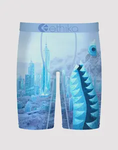 Ethika City Of Stillness Boxer Briefs
