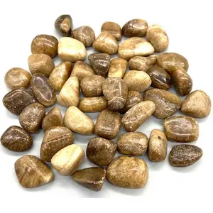 Aragonite Tumbled Stones 1 lb — Bulk Grounding Earth Star Crystal