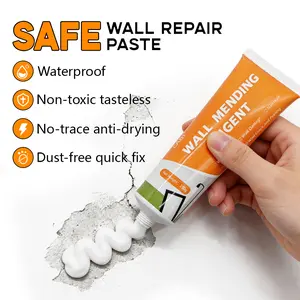Drywall Patch Repair Kit 250g Wall Mending Agent Multi-functional Quick-drying Paste Adhesive Heavy Duty