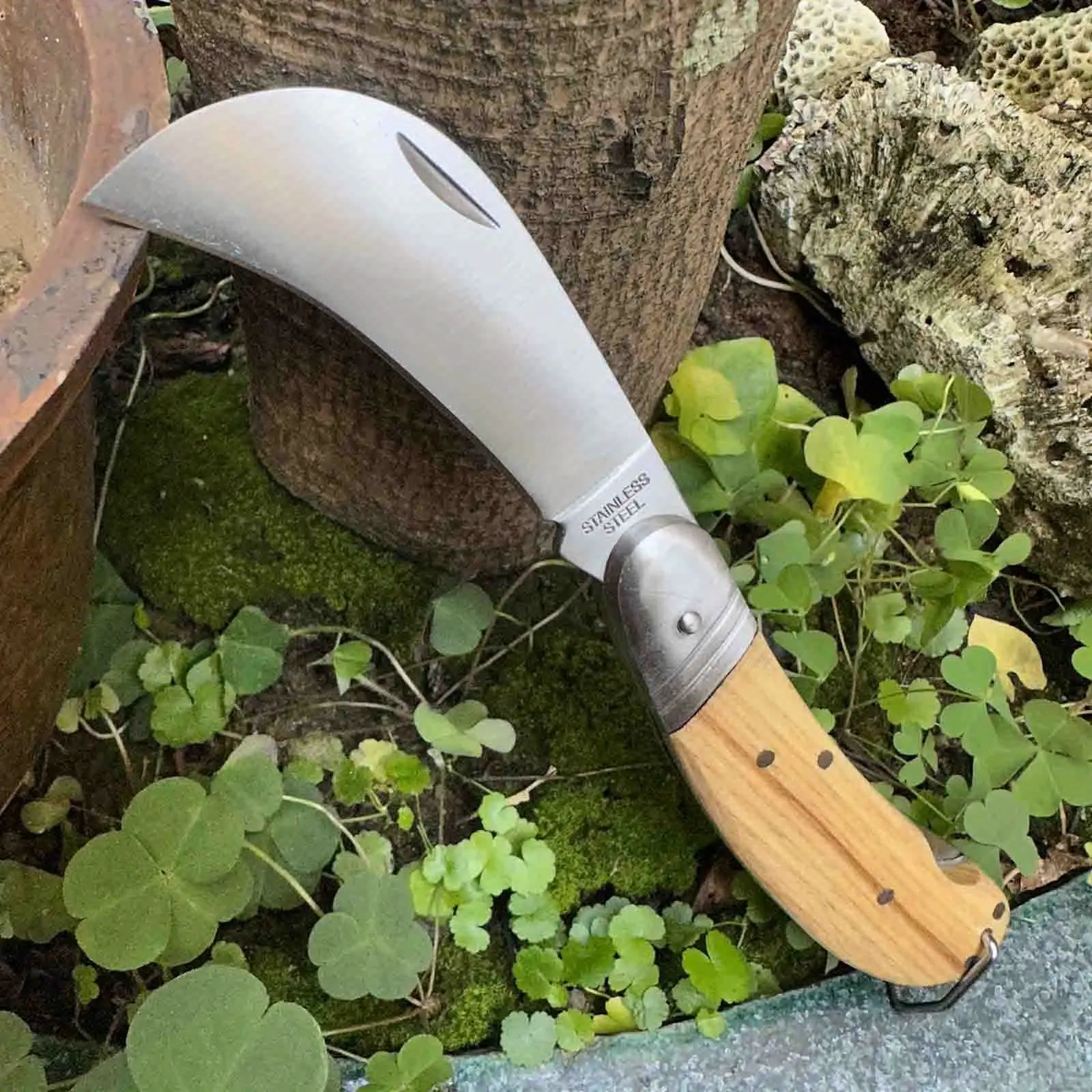 440C Stainless Steel Knife with Wood Handle, Portable Folding Blade, for Outdoor Camping (Stainless Steel Knives)