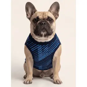 Élan France Matching Dog & Owner Outfit