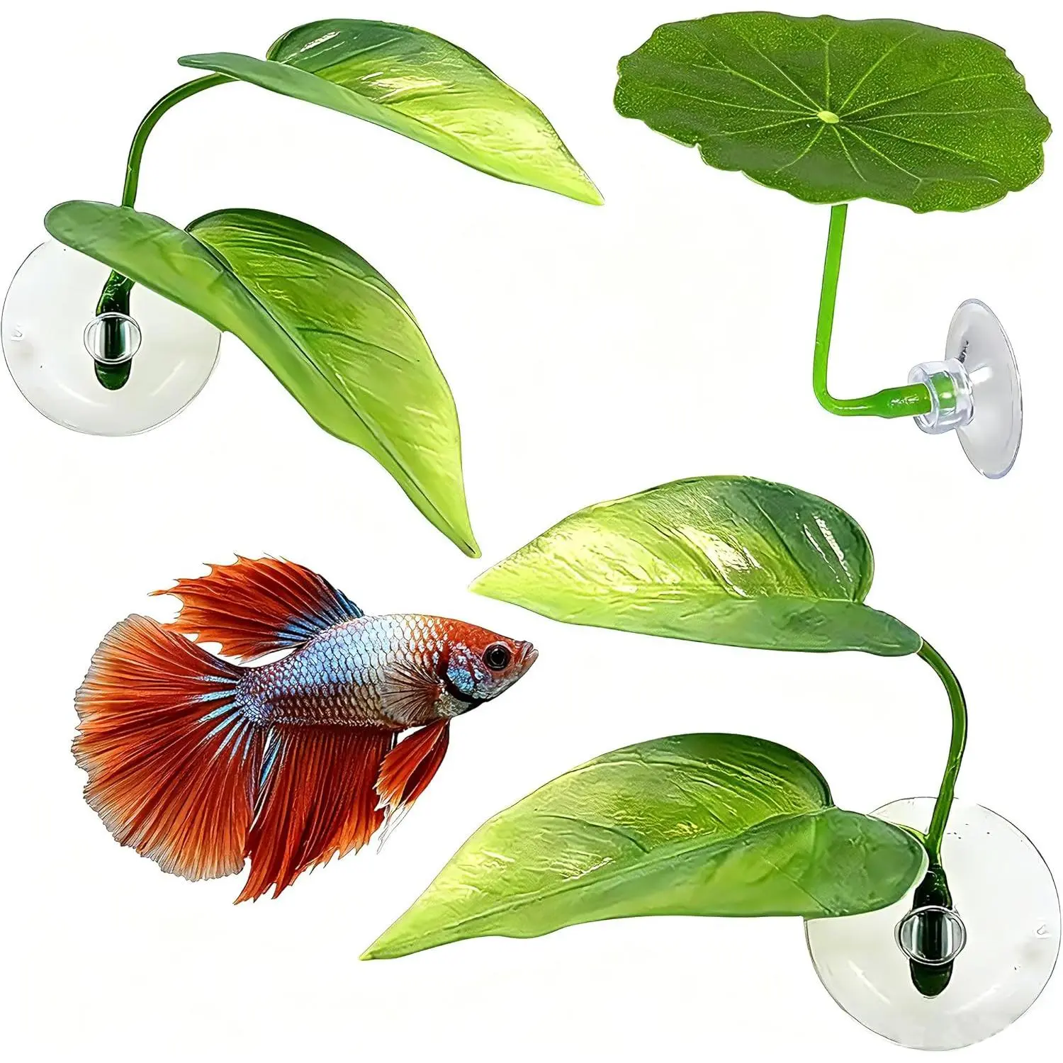 3 Pack Betta Fish Leaf Pad Improves Betta's  by Simulating The  Habitat - Betta Fish Leaf Hammock, , Comfortable Rest Area for Fish Aquarium Ornaments