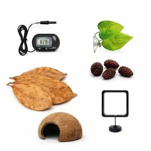 Betta Essentials Kit – Complete Starter Bundle with Almond Leaves, Alder Cones & Aquarium Accessories