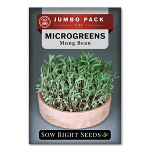 Bulk Microgreens Bean 2 Ounce