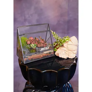 Mini Paradise Terrarium