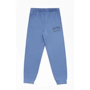 Pacsun Kids Blue Jogger Sweatpants