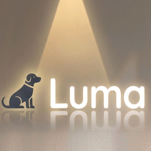 Luma Night Leash