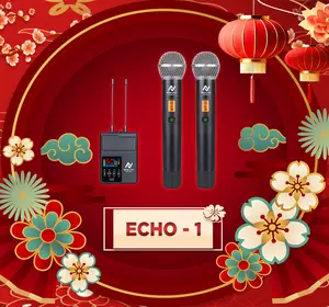 Portable 2-in-1 DSP Karaoke Processor w/ Microphones System | NovaLumix | Best in The Market