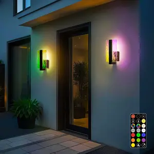 FTL RGB Outdoor Wall Lights 2 Packs 10W Exterior Color Changing Porch Sconce Lights with Water Ripple Glass Dimmable Timer Weatherproof for House
