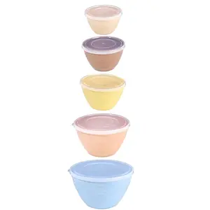 Colorful Plastic Lunch Box Set, 1 Set Mixing Salad Bowl Set, Sealed Containers with Lids for Fruits, Vegetables, Suitable for Camping, Picnic