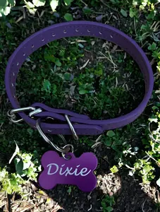 Custom Pet Collar with Tag Personalized Leather Pet Collar Engraved Pet Collar Custom Pet Collar Leather Dog Collar Leather Cat Collar