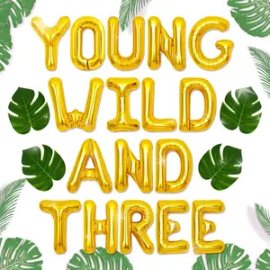 13PCS Young Wild and Three Balloon Young Wild and Three Banner Young Wild and Three Decorations for Boy Girl Third Birthday 3rd Birthday Balloon Decorations