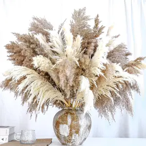 20 count Dried Flower, 30-inch Tall Nature Pampas Grass Bouquet Decor - Boho  and Feathers for Centerpieces,  for Tall Floor Vase Fillers, Living Room, and Wedding Decor(White, )