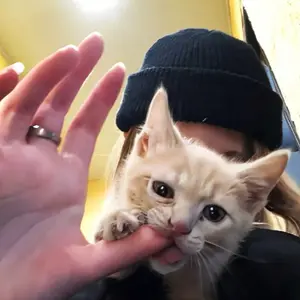 background preload poster image 