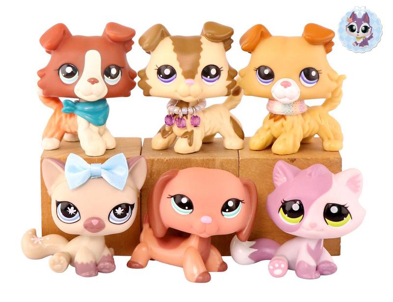 6 Lot Pet Shop Dogs and Cats Collectable with Accessories Kids Gift lps Toys