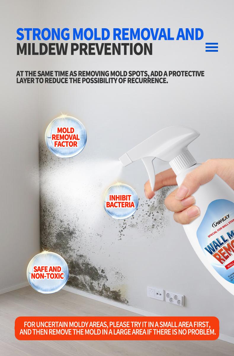 Lanwexy Highly Effective Mould Removal Spray - Prevents Mould Regrowth Lanwexy Highly Effective Mould Removal Spray - Prevents Mould Regrowth