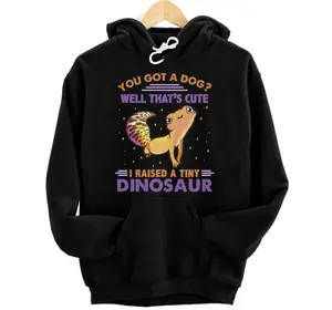 I RAISED A TINY DINOSAUR Funny Leopard Gecko Lizard Reptile Hoodie, Sweatshirt, T-Shirt