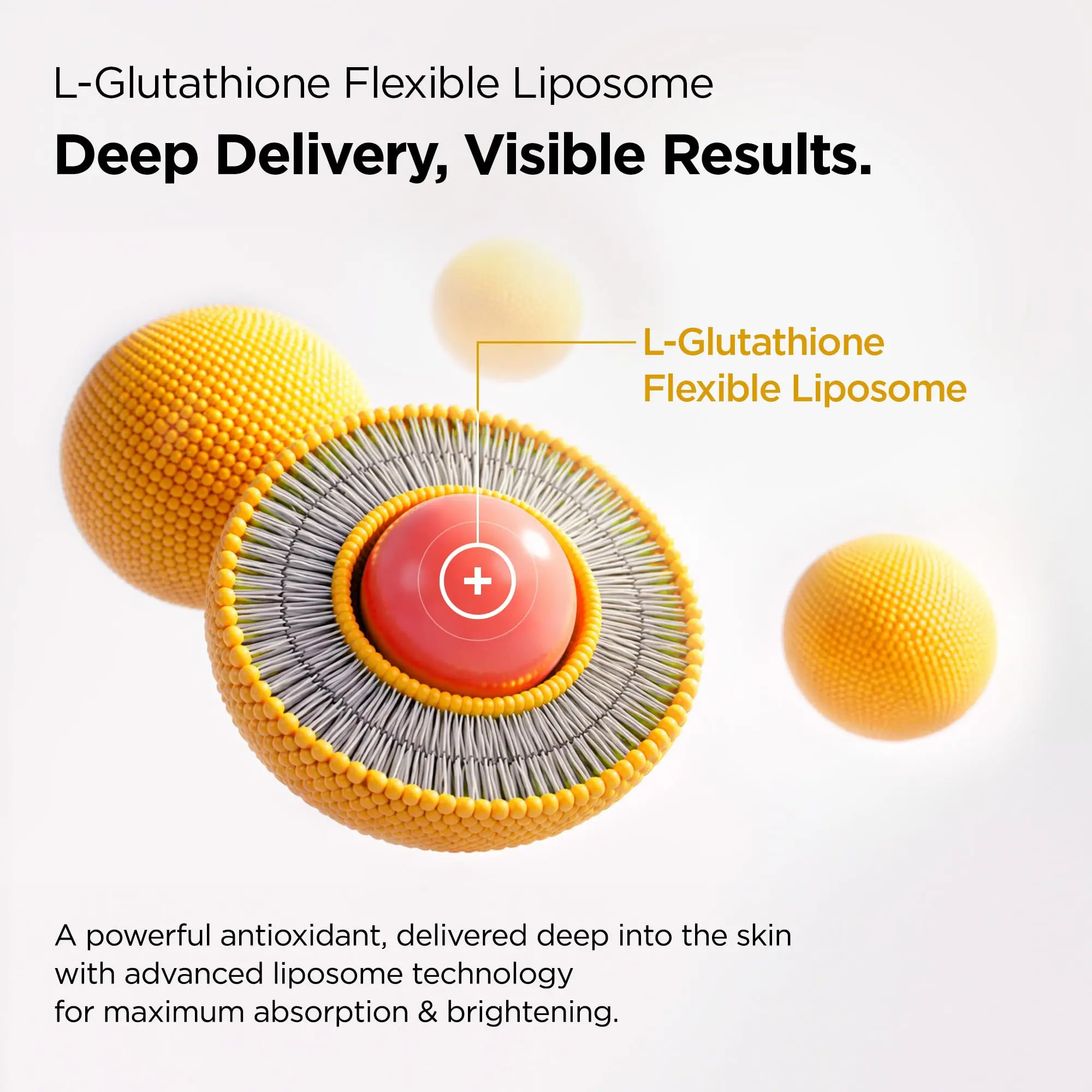 l glutathione serum PURCELL 5% L-Glutathione (88B/mL) Flexible Liposome Face Serum (1.01 fl oz / 30 ml) l glutathione serum PURCELL 5% L-Glutathione (88B/mL) Flexible Liposome Face Serum (1.01 fl oz / 30 ml)